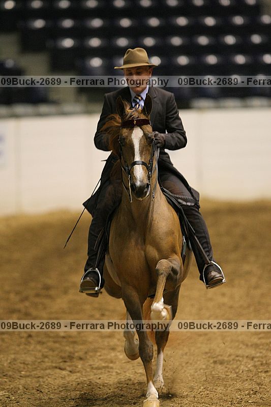 Proof 09buck-2689
