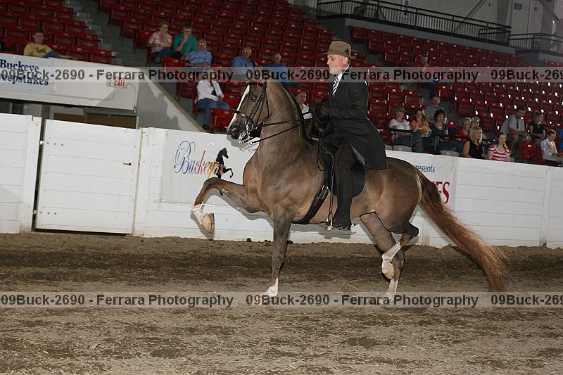 Proof 09buck-2690