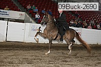 09buck-2690 proof