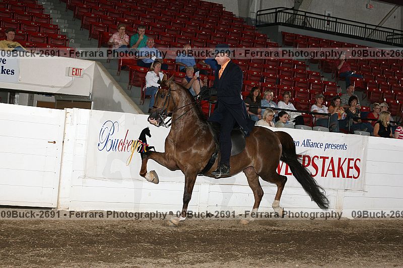 Proof 09buck-2691