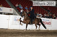 09buck-2691 proof