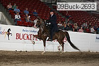 09buck-2693 proof
