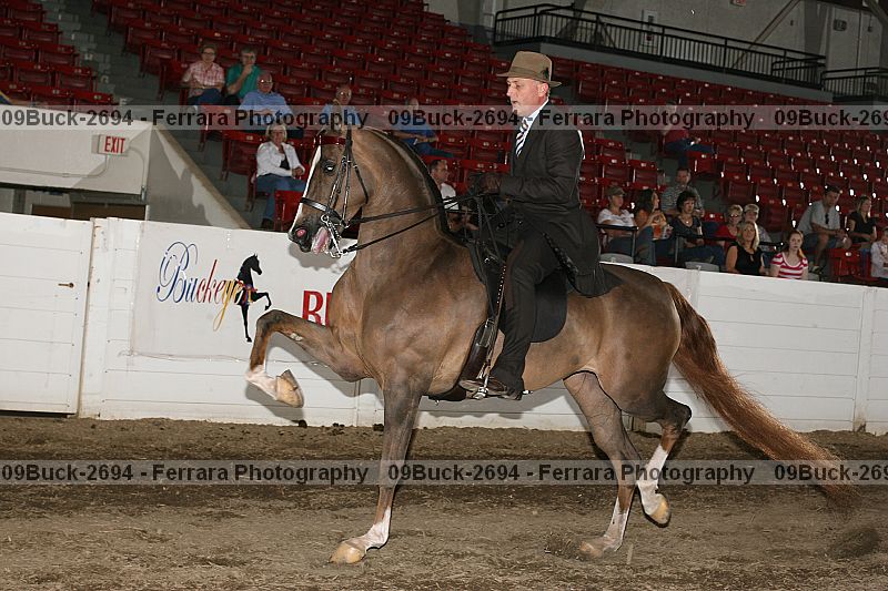 Proof 09buck-2694
