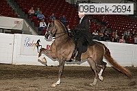 09buck-2694 proof