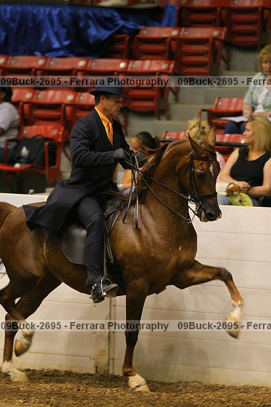 Proof 09buck-2695