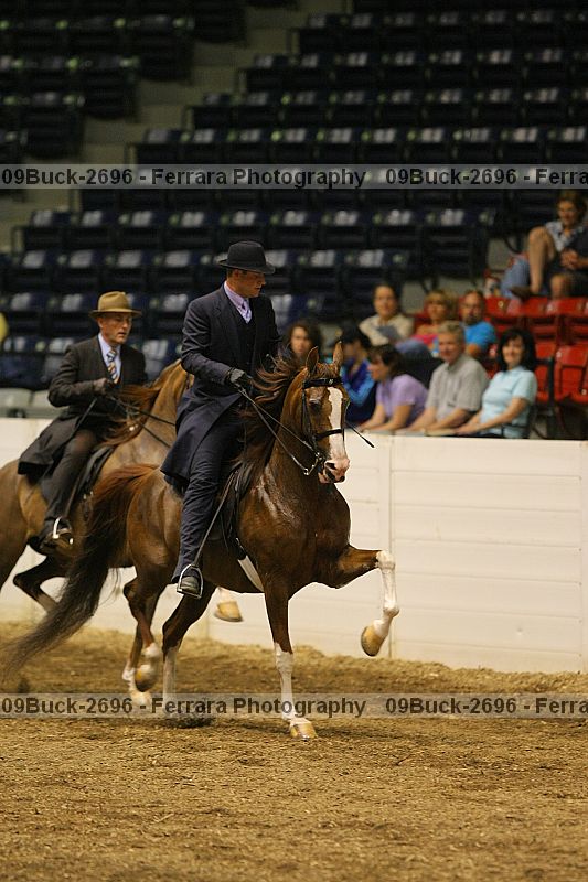 Proof 09buck-2696