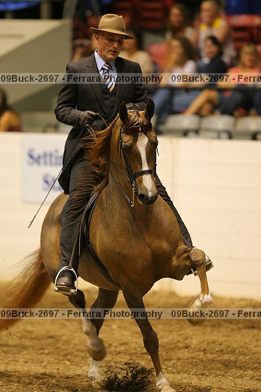 Proof 09buck-2697