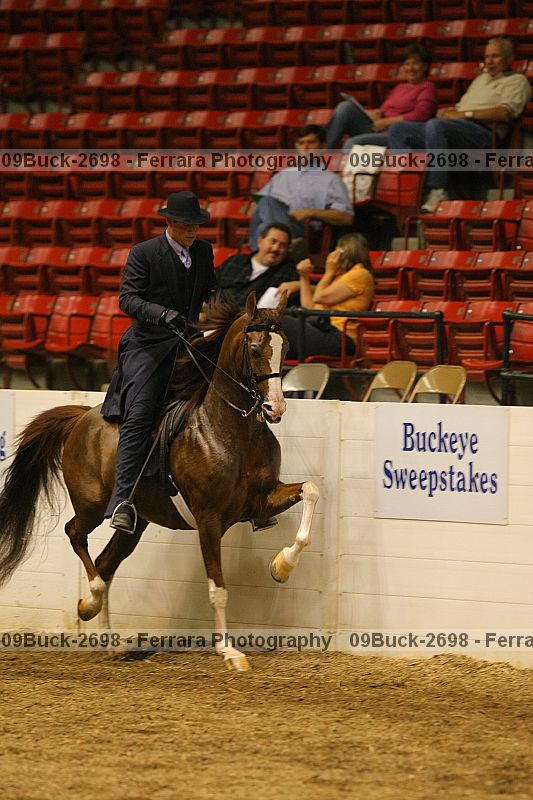 Proof 09buck-2698