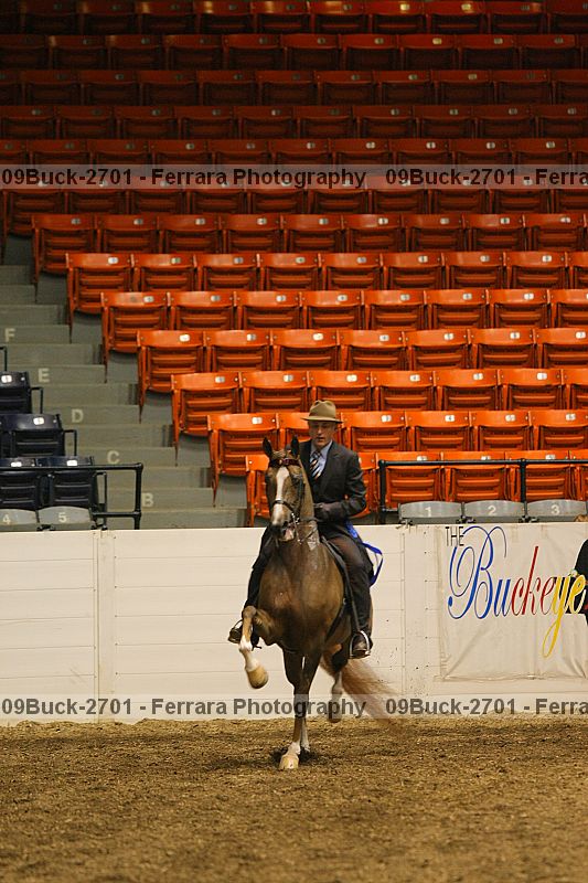 Proof 09buck-2701