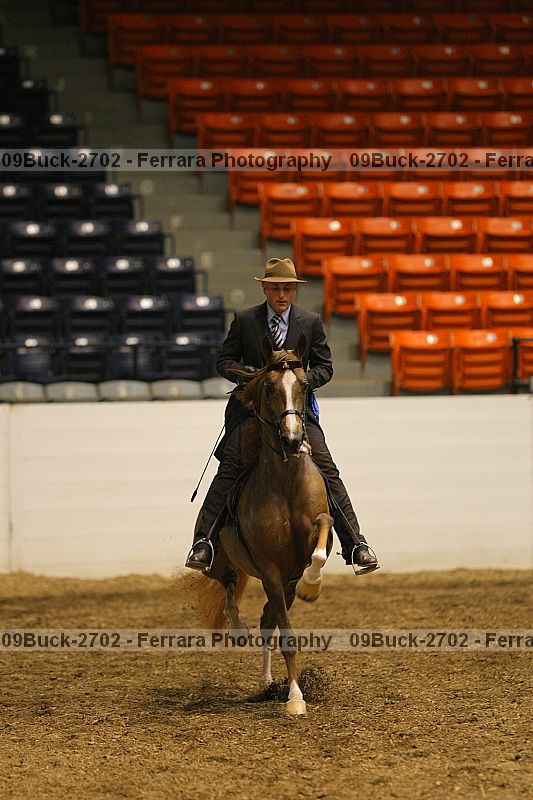 Proof 09buck-2702