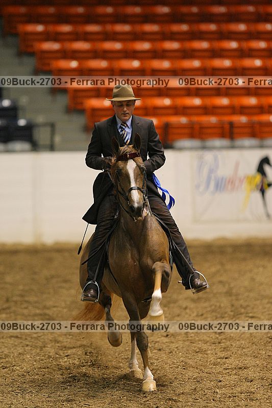 Proof 09buck-2703