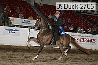 09buck-2705 proof