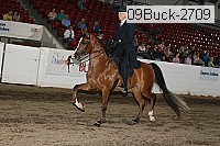 09buck-2709 proof