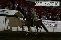 09buck-2718 proof