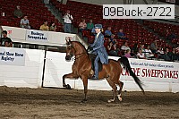 09buck-2722 proof