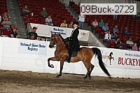 09buck-2729 proof