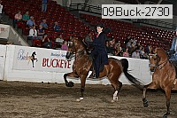 09buck-2730 proof