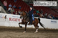 09buck-2735 proof