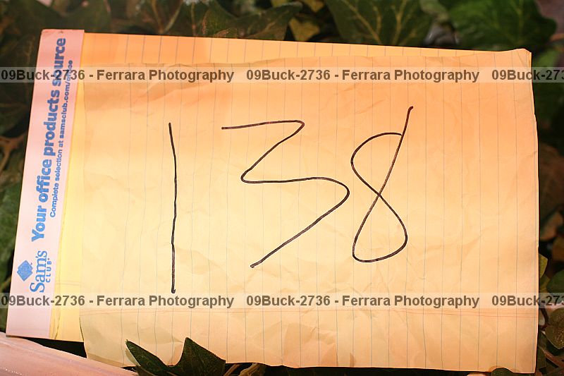 Proof 09buck-2736