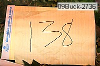 09buck-2736 proof