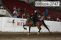 09buck-2747 proof