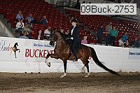 09buck-2753 proof