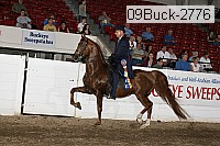 09buck-2776 proof