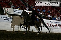09buck-2777 proof