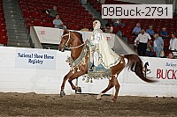 09buck-2791 proof