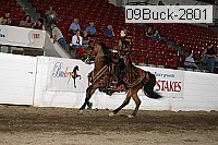 09buck-2801 proof