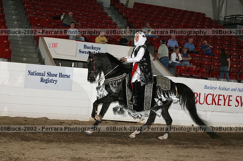 Proof 09buck-2802