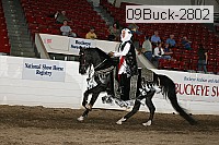09buck-2802 proof