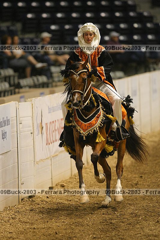 Proof 09buck-2803
