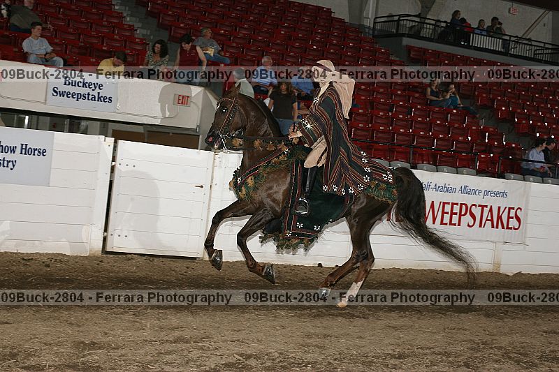 Proof 09buck-2804