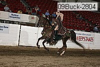 09buck-2804 proof