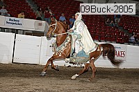 09buck-2805 proof