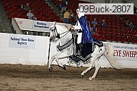09buck-2807 proof