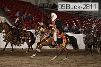 09buck-2811 proof