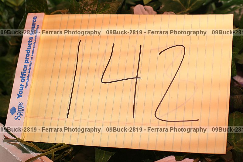 Proof 09buck-2819