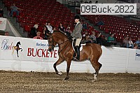 09buck-2822 proof