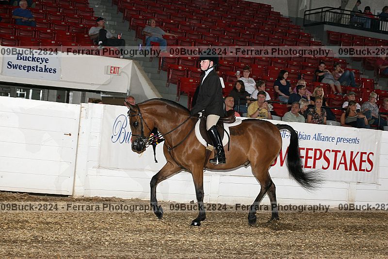 Proof 09buck-2824