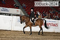 09buck-2824 proof