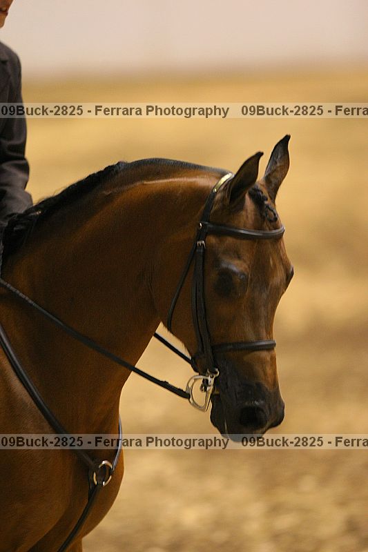 Proof 09buck-2825