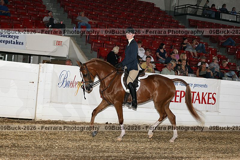 Proof 09buck-2826