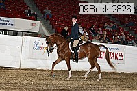 09buck-2826 proof