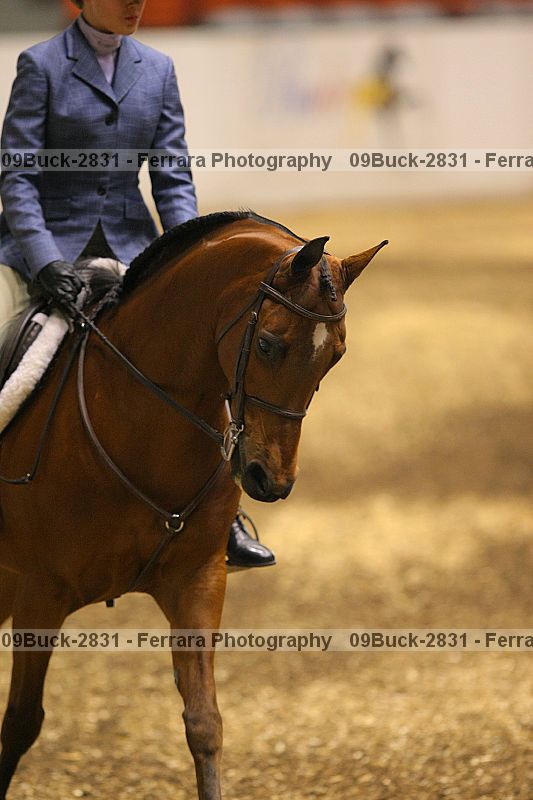 Proof 09buck-2831