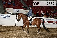 09buck-2832 proof