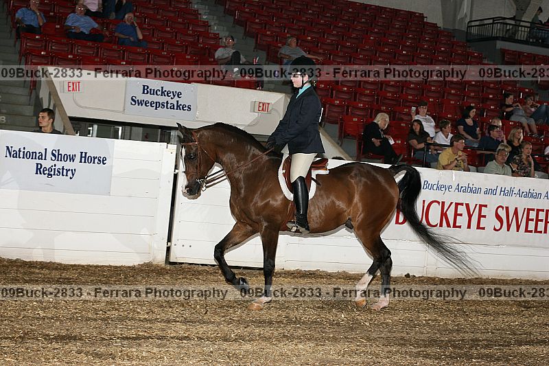 Proof 09buck-2833