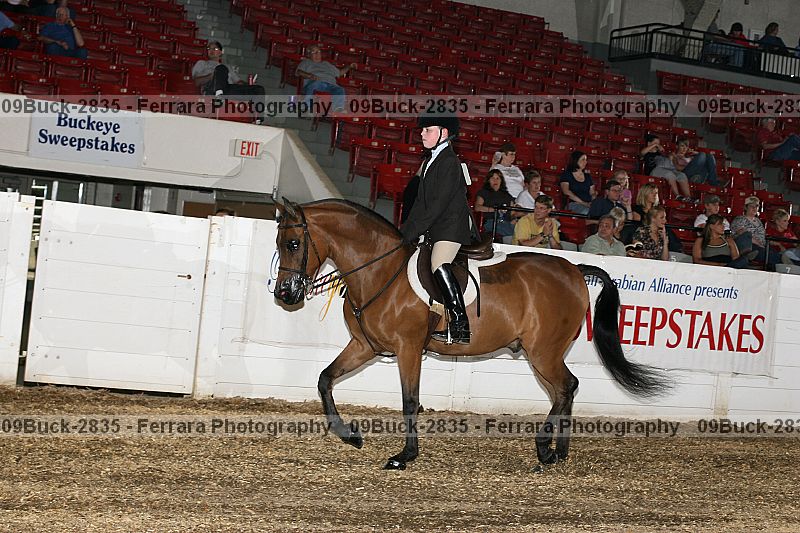 Proof 09buck-2835