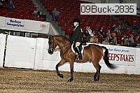 09buck-2835 proof